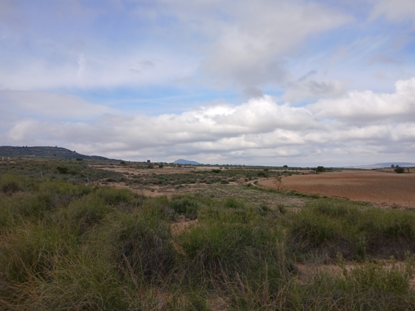 Exclusieve Investeringskans: 60 Hectare Geïrrigeerd Landgoed in Yecla (Murcia)