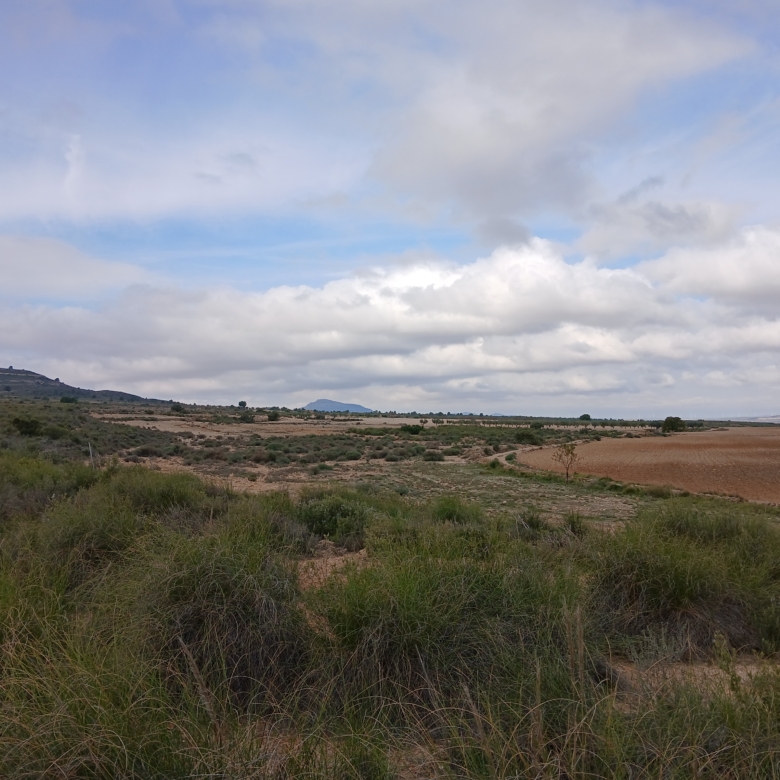 Exclusieve Investeringskans: 60 Hectare Geïrrigeerd Landgoed in Yecla (Murcia)