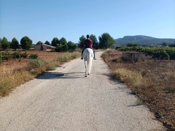 Karakteristiek Paardenobject met REGA-licentie in Monóvar