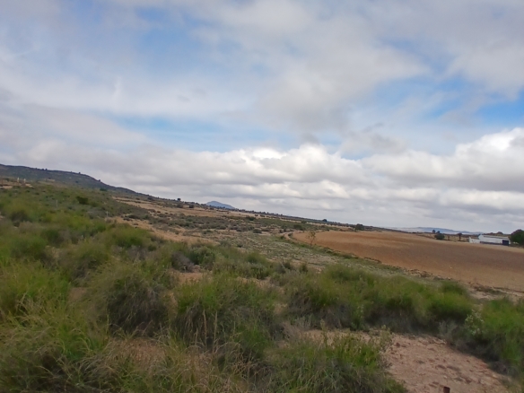 Exclusieve Investeringskans: 60 Hectare Geïrrigeerd Landgoed in Yecla (Murcia)