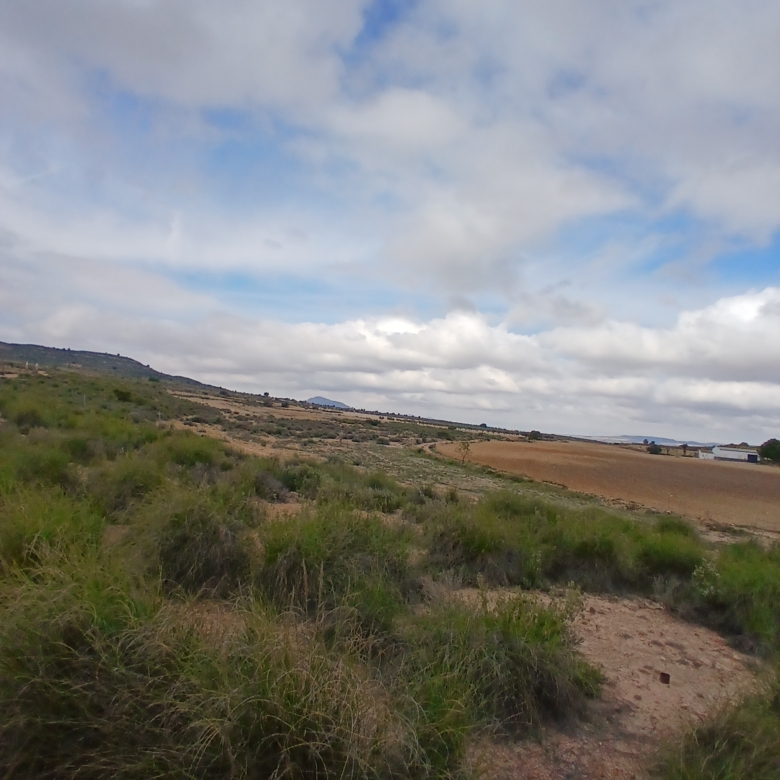 Exclusieve Investeringskans: 60 Hectare Geïrrigeerd Landgoed in Yecla (Murcia)