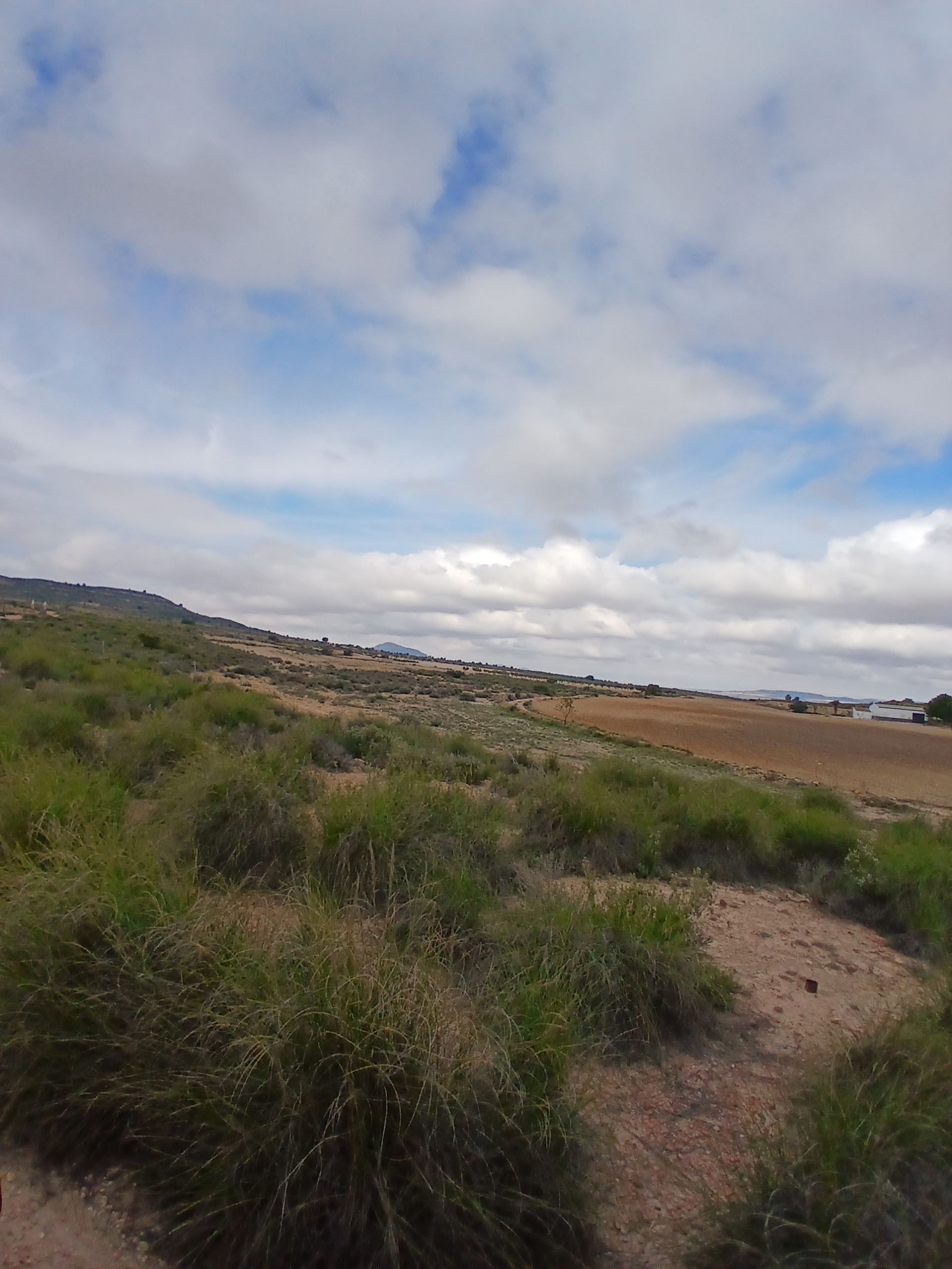 Exclusieve Investeringskans: 60 Hectare Geïrrigeerd Landgoed in Yecla (Murcia)