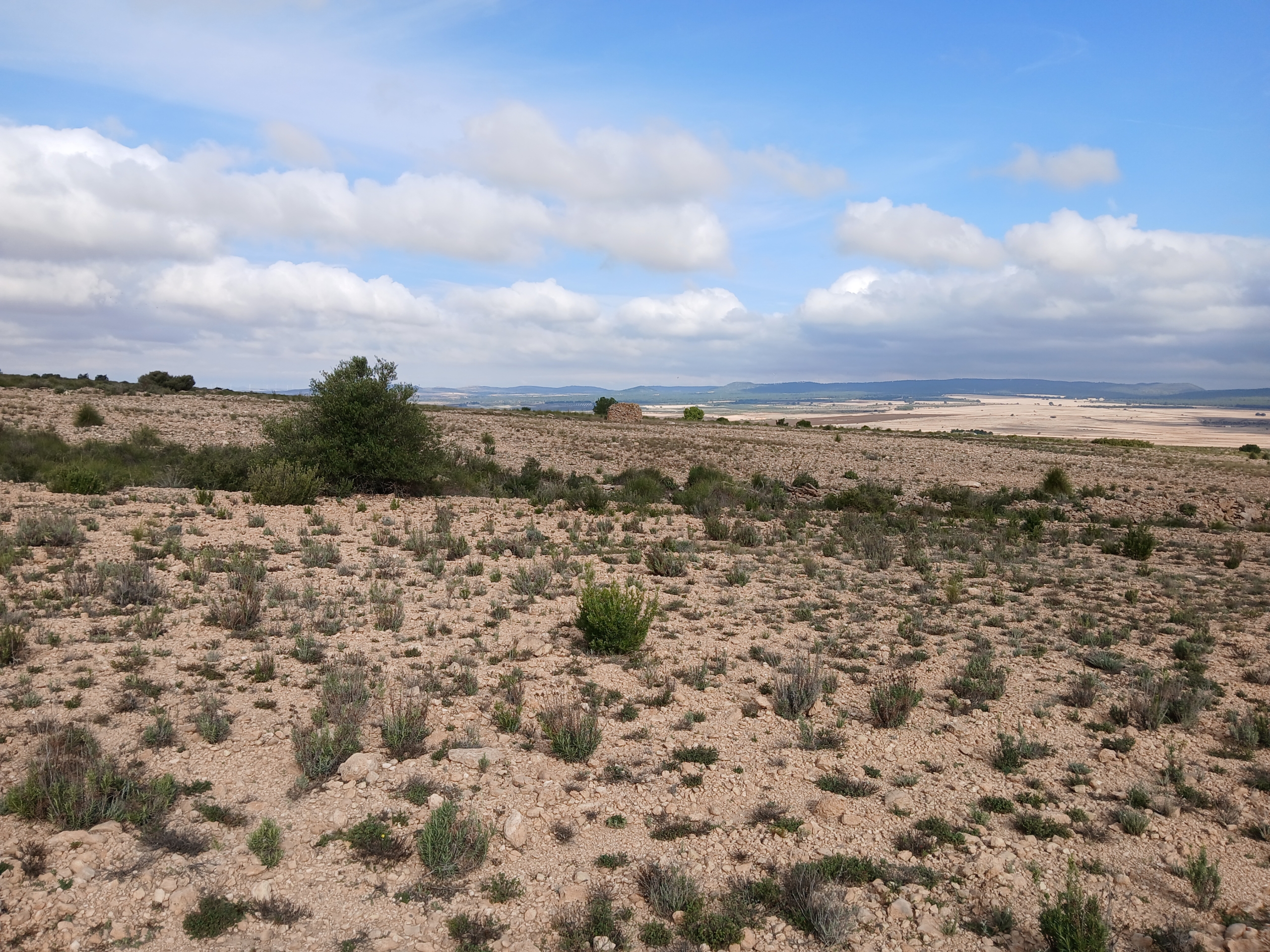 Exclusieve Investeringskans: 60 Hectare Geïrrigeerd Landgoed in Yecla (Murcia)