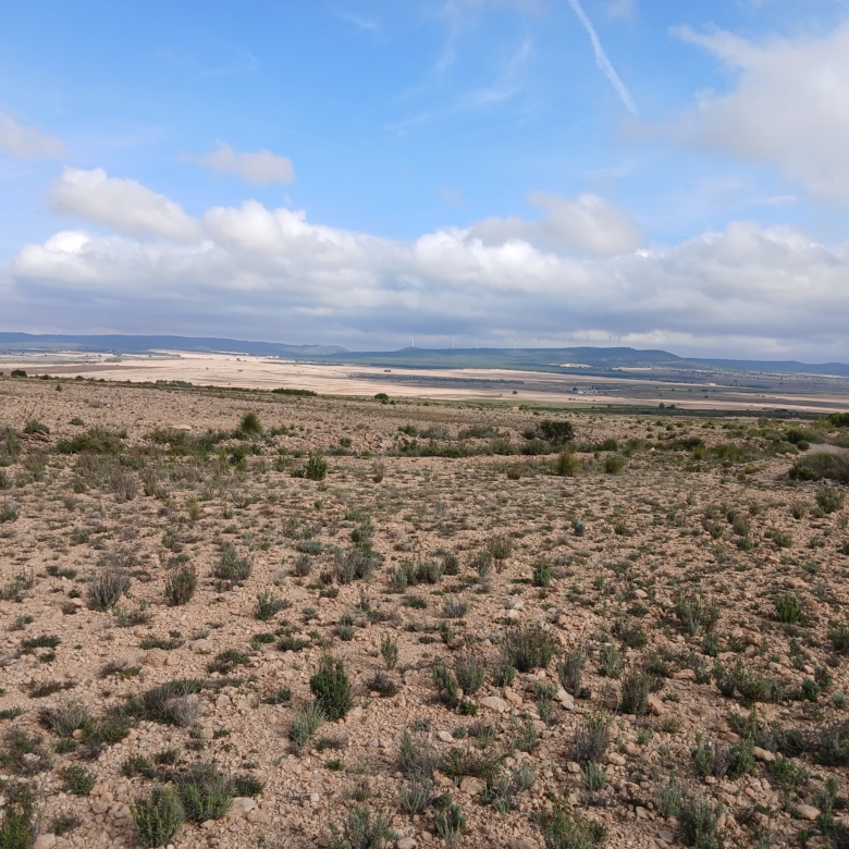 Exclusieve Investeringskans: 60 Hectare Geïrrigeerd Landgoed in Yecla (Murcia)