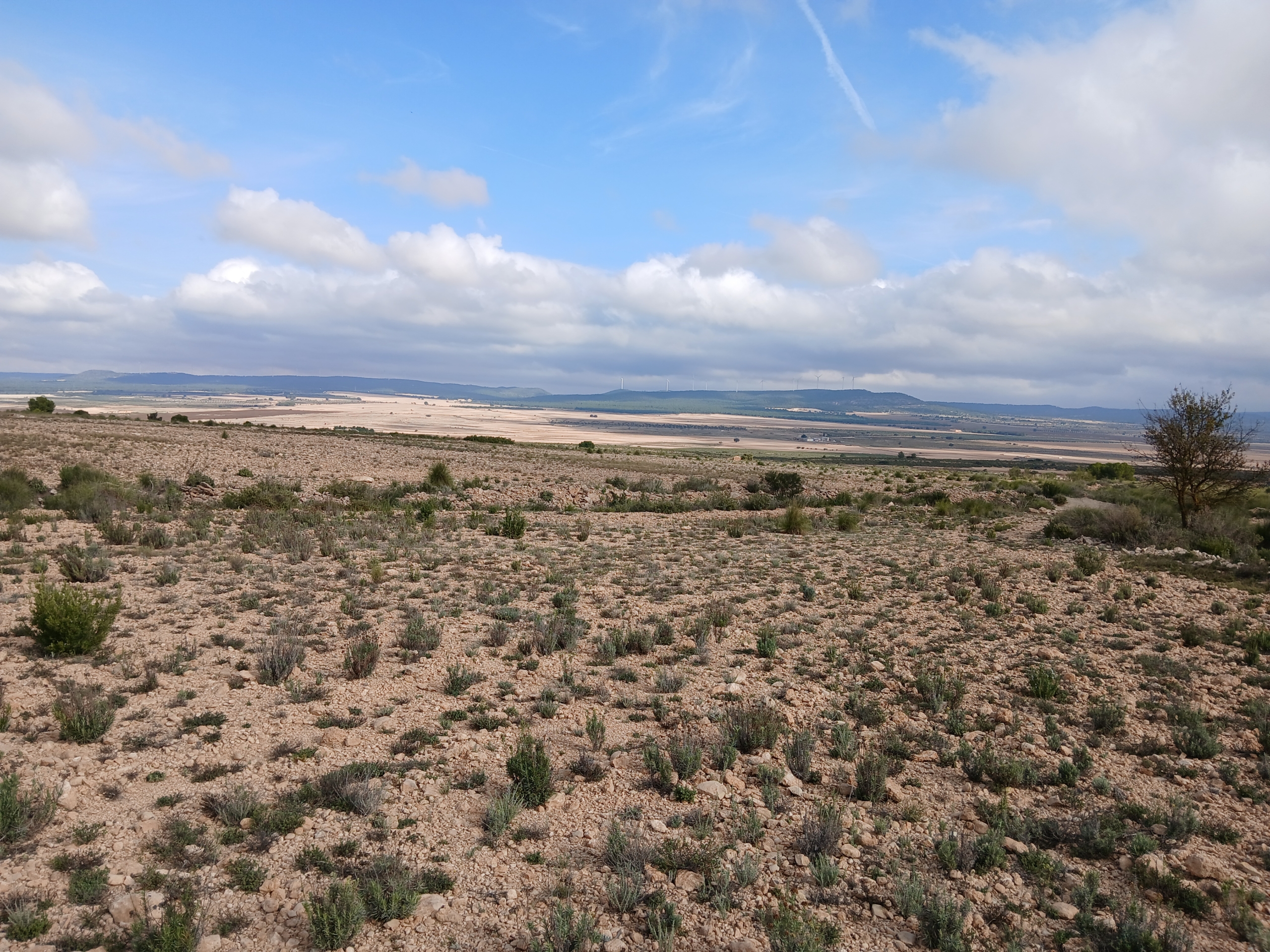 Exclusieve Investeringskans: 60 Hectare Geïrrigeerd Landgoed in Yecla (Murcia)