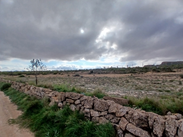 Exclusieve Investeringskans: 60 Hectare Geïrrigeerd Landgoed in Yecla (Murcia)