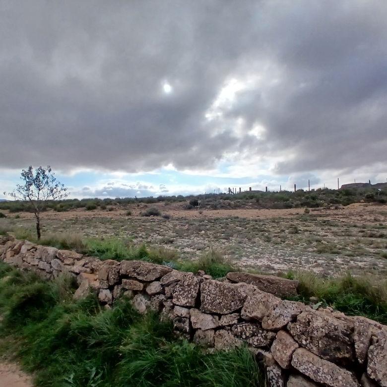 Exclusieve Investeringskans: 60 Hectare Geïrrigeerd Landgoed in Yecla (Murcia)