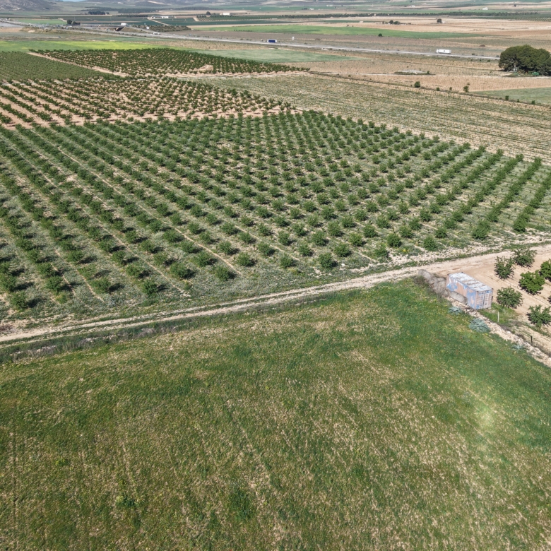 Land te koop in Spanje: Bouwperceel van 21.625 m² met amandelbomen in Yecla (Murcia)