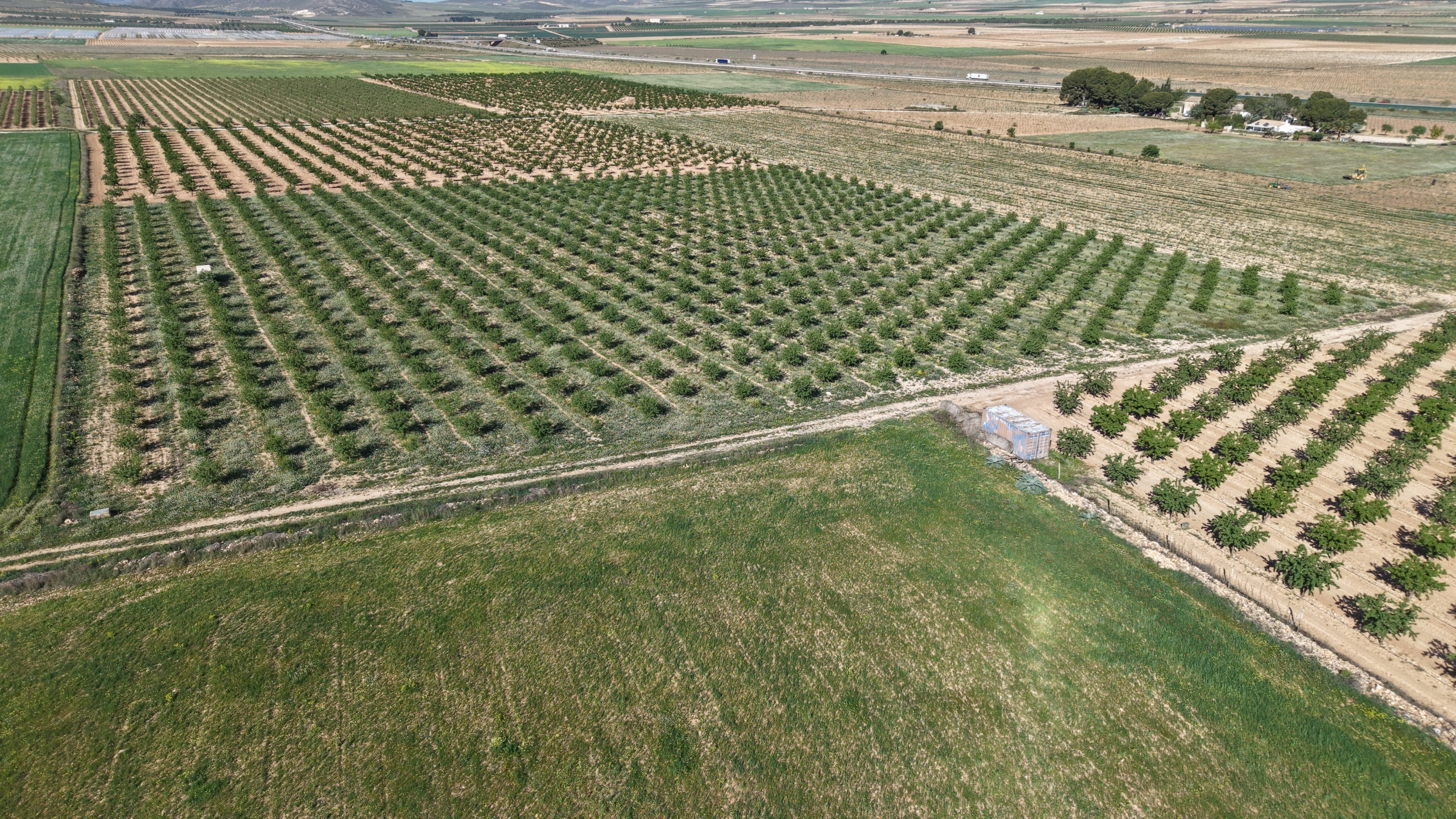 default Land te koop in Spanje: Bouwperceel van 21.625 m² met amandelbomen in Yecla (Murcia)