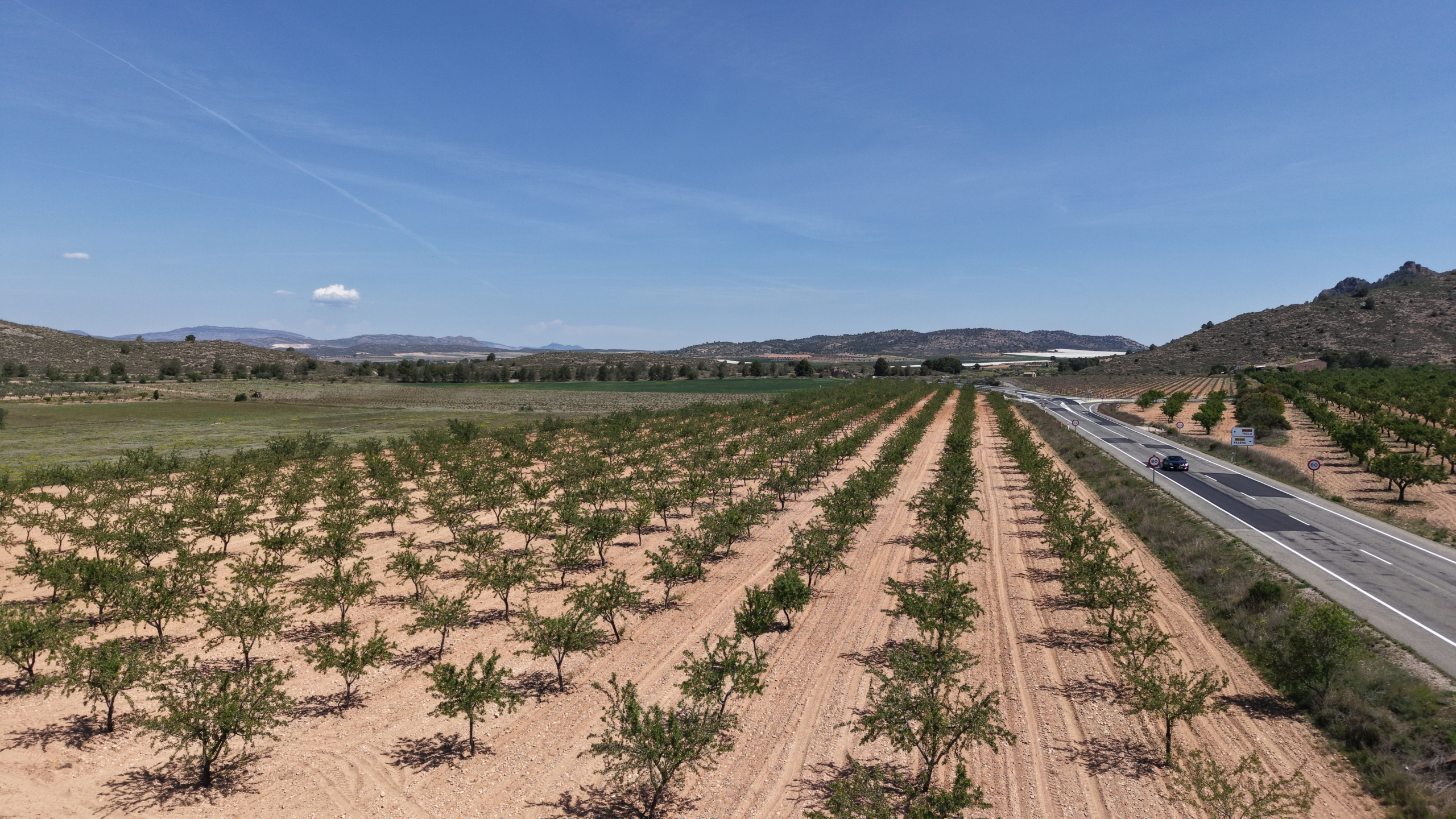Bouwperceel te koop tussen Yecla & Pinoso: 38.802 m² met amandelbomen