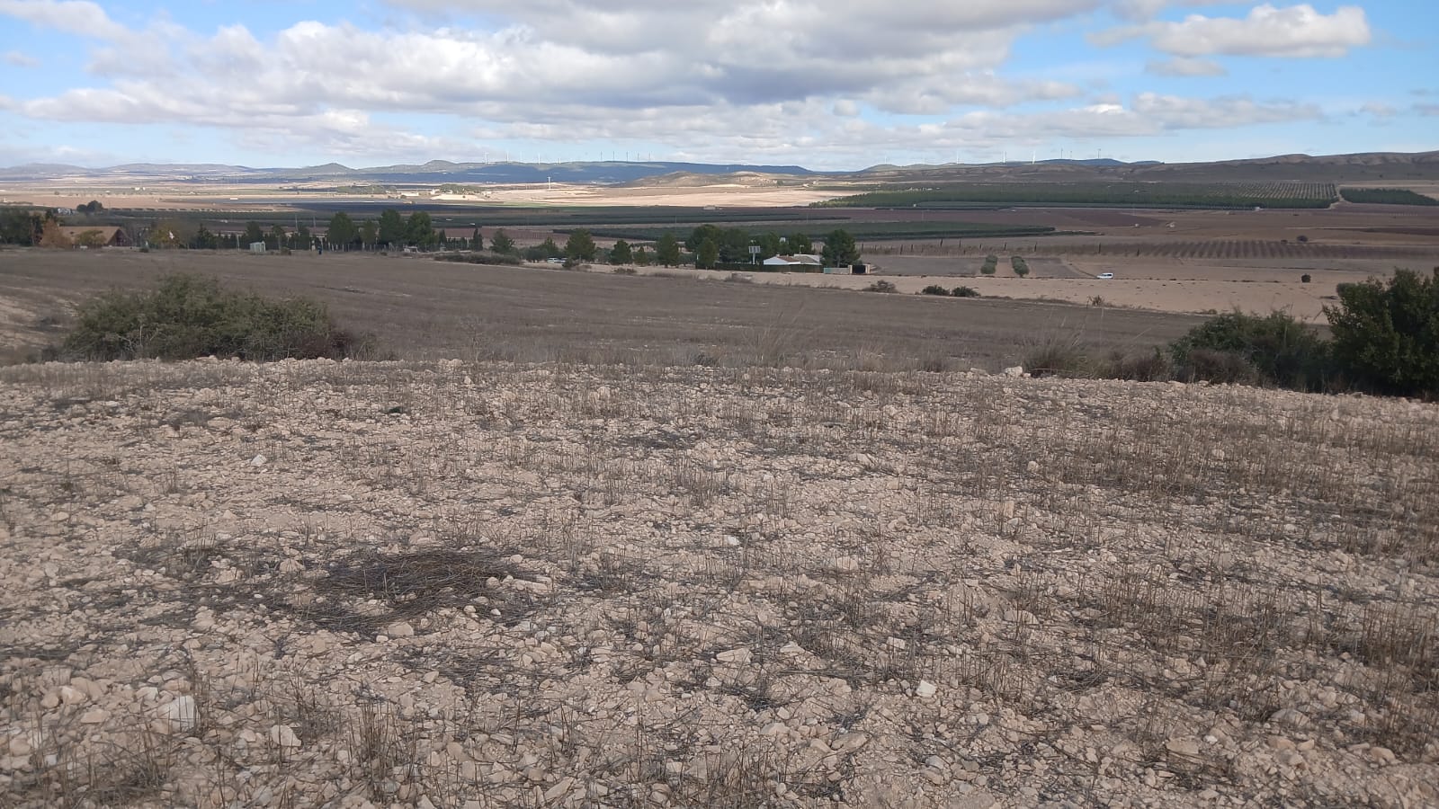 Unieke Investeringskans: Gigantisch Bouwperceel te Koop in Yecla (Murcia)