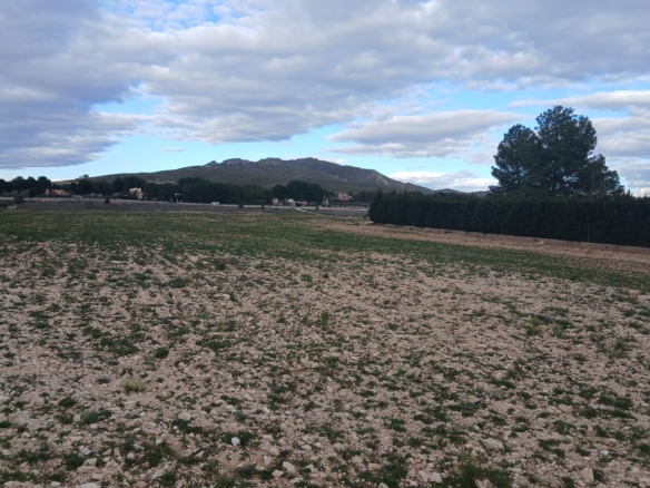 Prachtig Bouwperceel van 20.000 m² in Yecla – Rust, Ruimte en Panoramisch Uitzicht