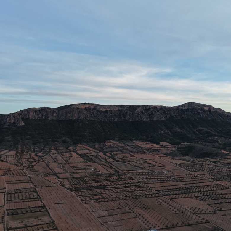 Groot Bouwperceel met Olijfgaard (15 ha) te Koop in Jumilla, Murcia
