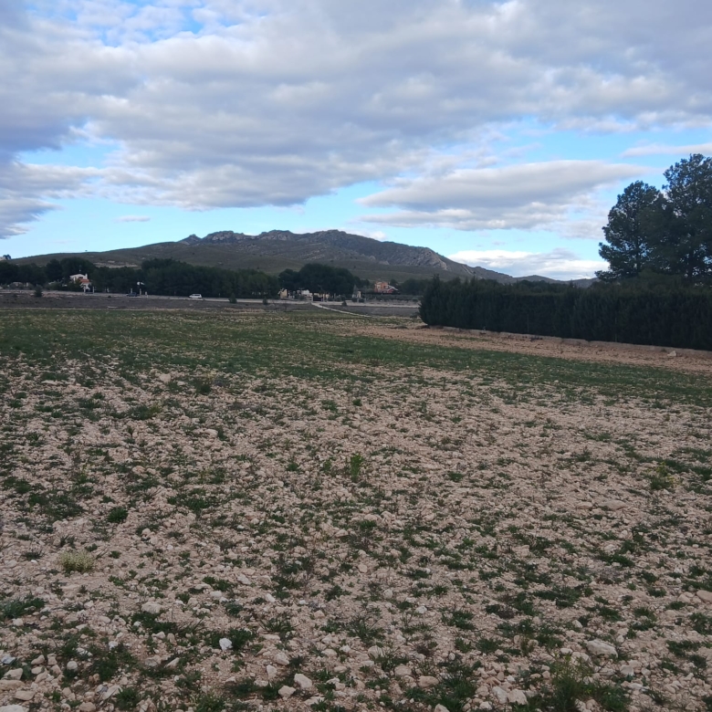 Prachtig Bouwperceel van 20.000 m² in Yecla – Rust, Ruimte en Panoramisch Uitzicht