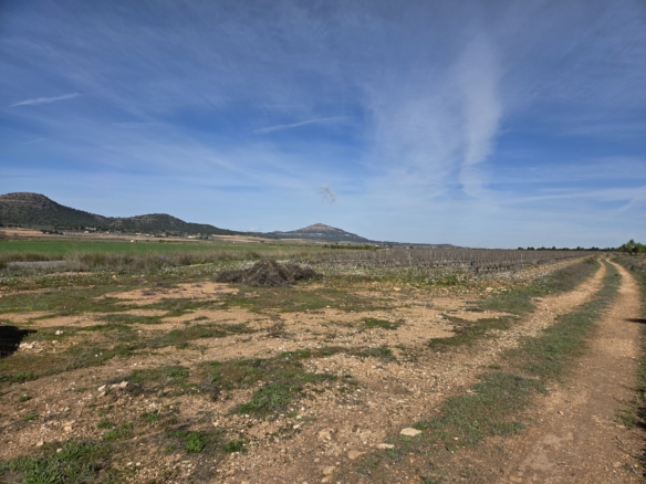 Prachtig vlak bouwperceel met panoramisch uitzicht in Yecla (Murcia)