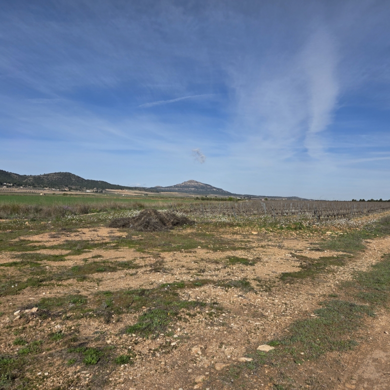 Prachtig vlak bouwperceel met panoramisch uitzicht in Yecla (Murcia)