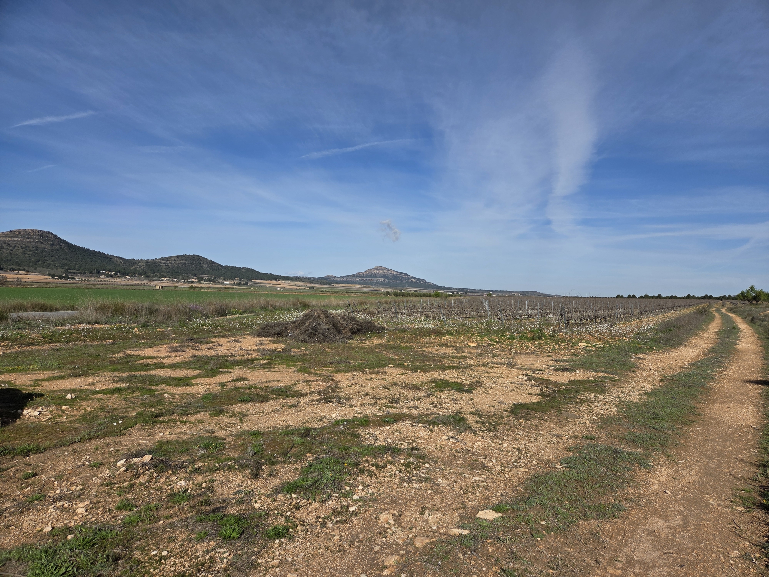 Prachtig vlak bouwperceel met panoramisch uitzicht in Yecla (Murcia)