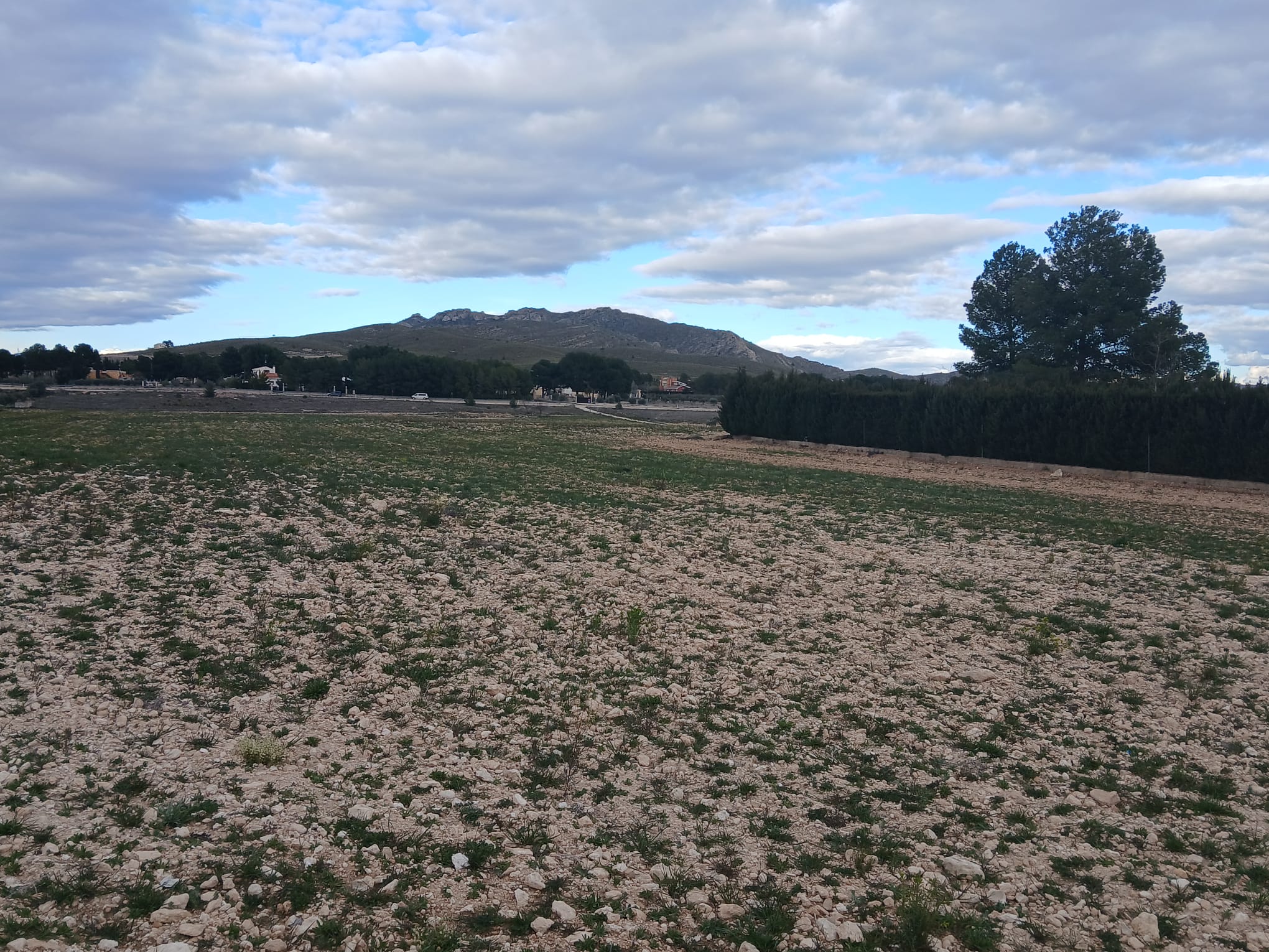 Prachtig Bouwperceel van 20.000 m² in Yecla – Rust, Ruimte en Panoramisch Uitzicht