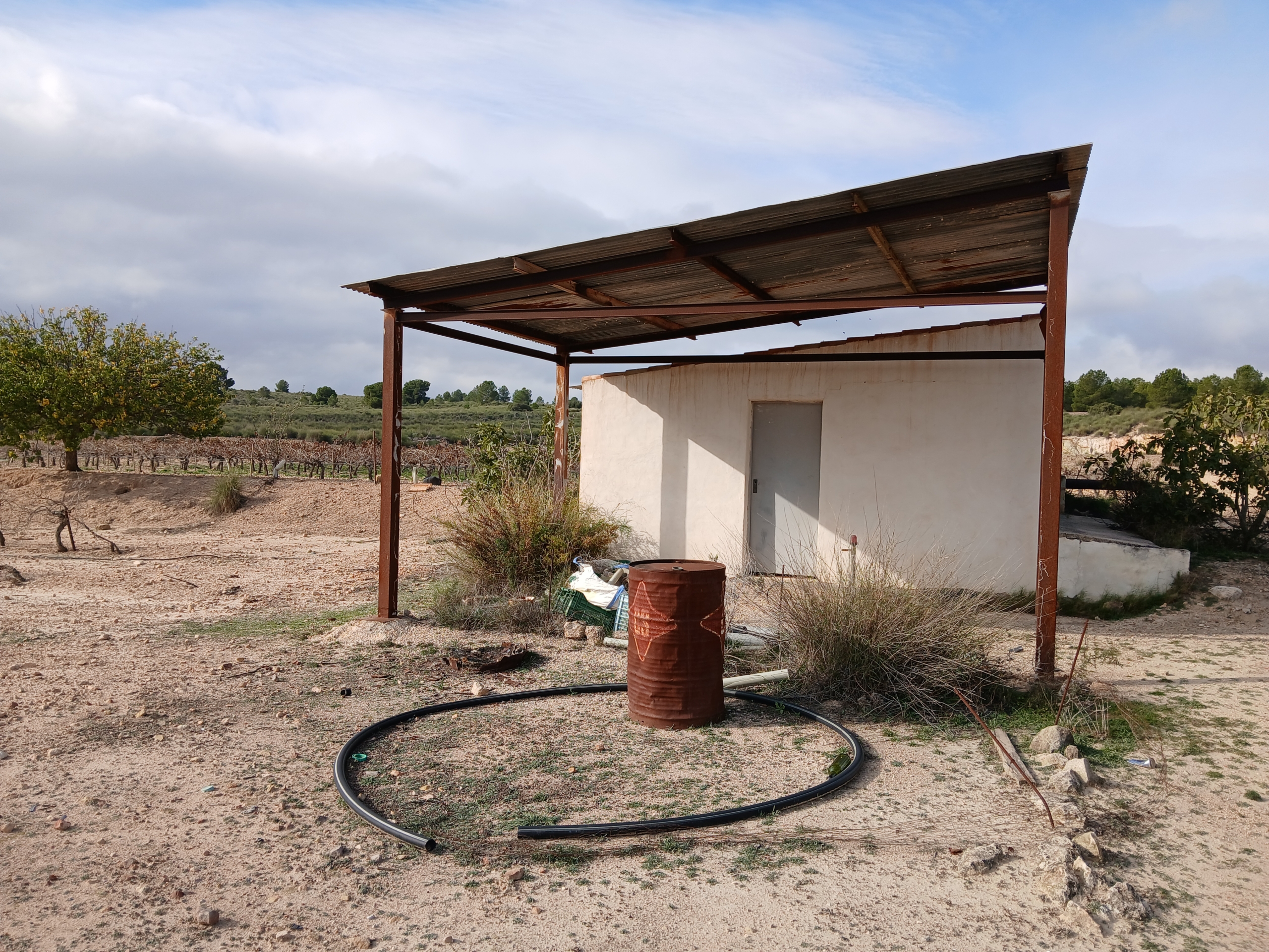 Exclusieve Investeringskans: 60 Hectare Geïrrigeerd Landgoed in Yecla (Murcia)