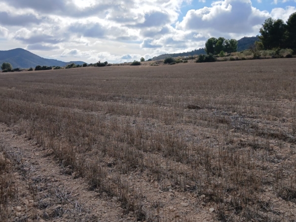 Unieke Investeringskans: Gigantisch Bouwperceel te Koop in Yecla (Murcia)