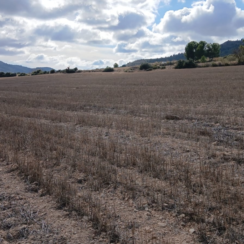 Unieke Investeringskans: Gigantisch Bouwperceel te Koop in Yecla (Murcia)