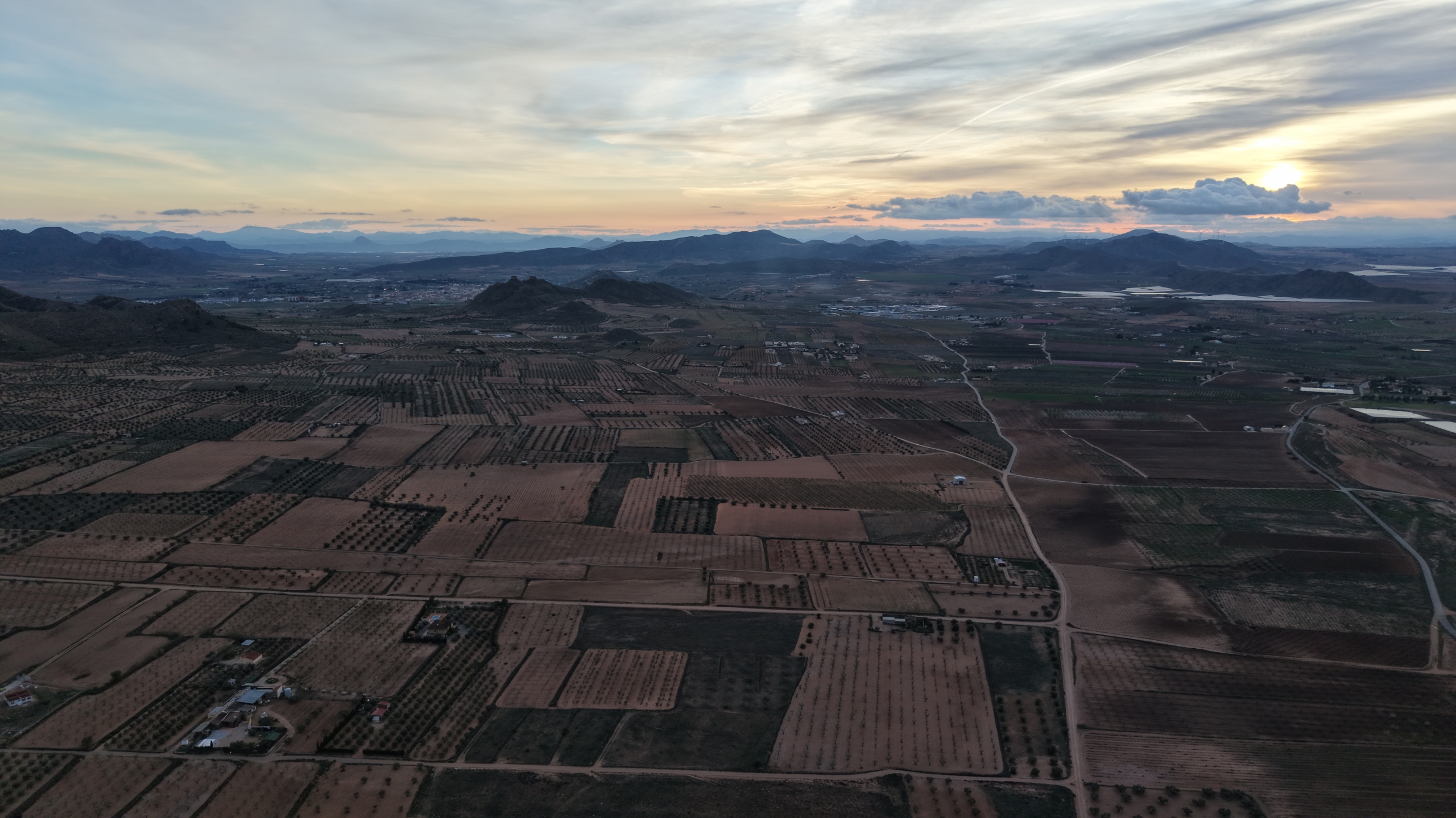 Prachtig vlak bouwperceel met volwassen olijfbomen te koop in Jumilla (Murcia)
