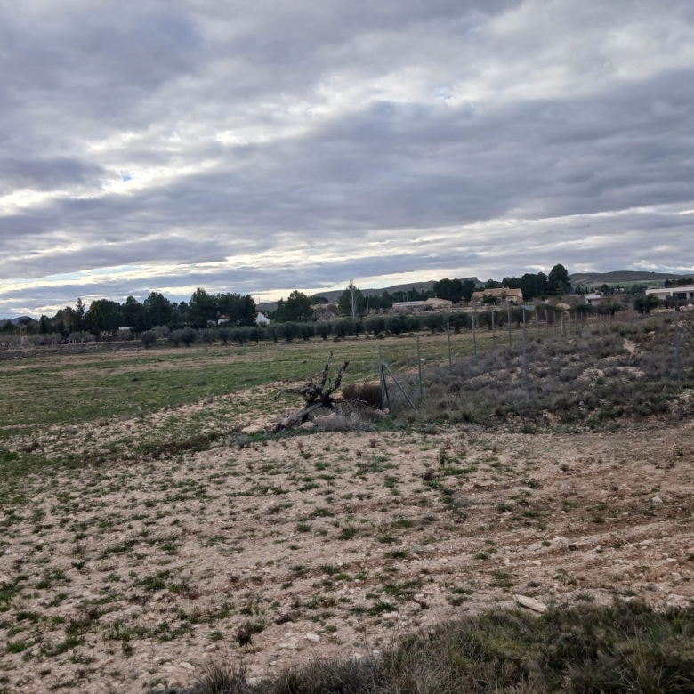 Prachtig Bouwperceel van 20.000 m² in Yecla – Rust, Ruimte en Panoramisch Uitzicht