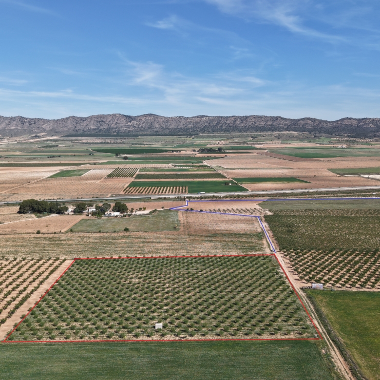Land te koop in Spanje: Bouwperceel van 21.625 m² met amandelbomen in Yecla (Murcia)