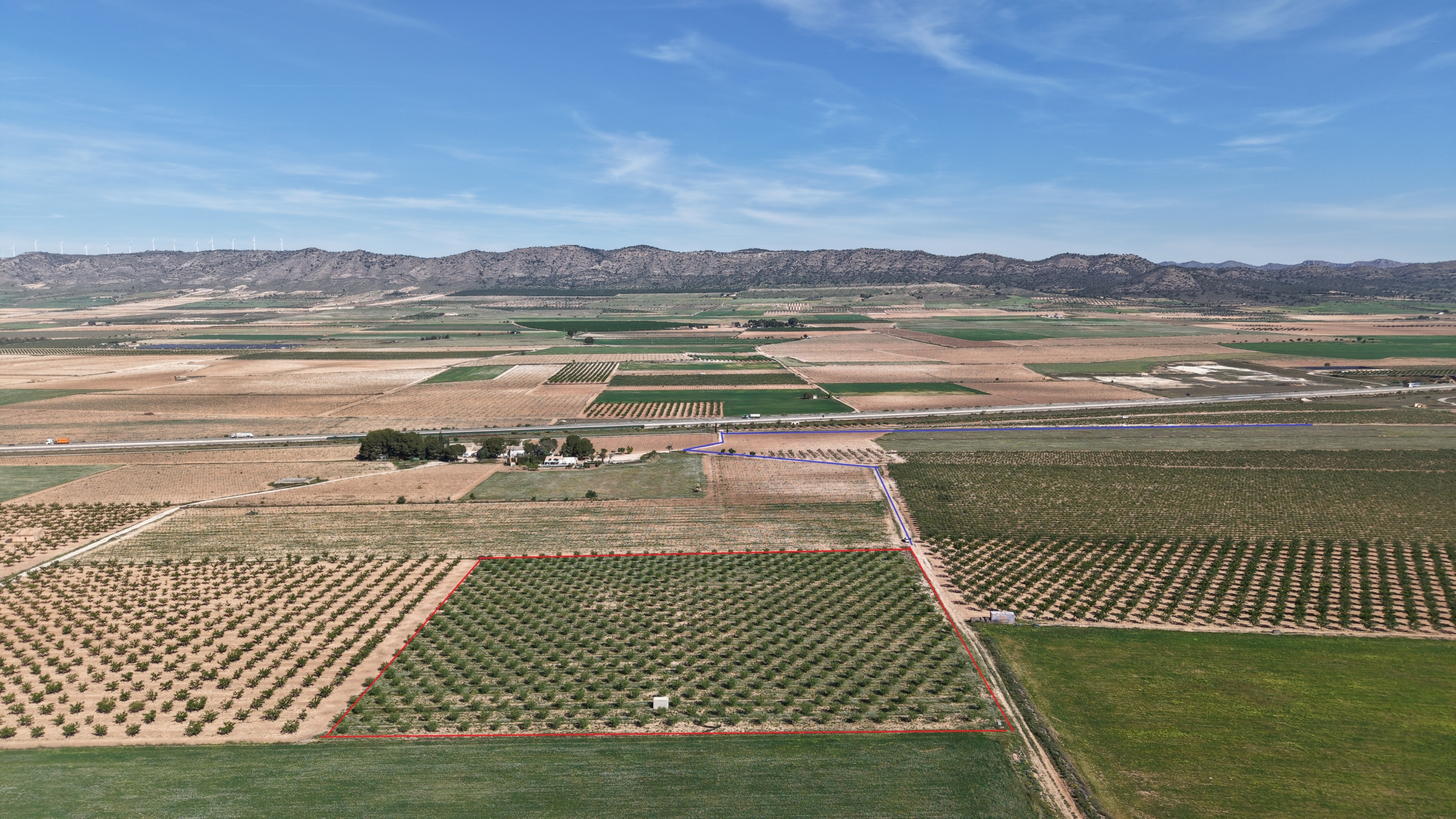 default Land te koop in Spanje: Bouwperceel van 21.625 m² met amandelbomen in Yecla (Murcia)