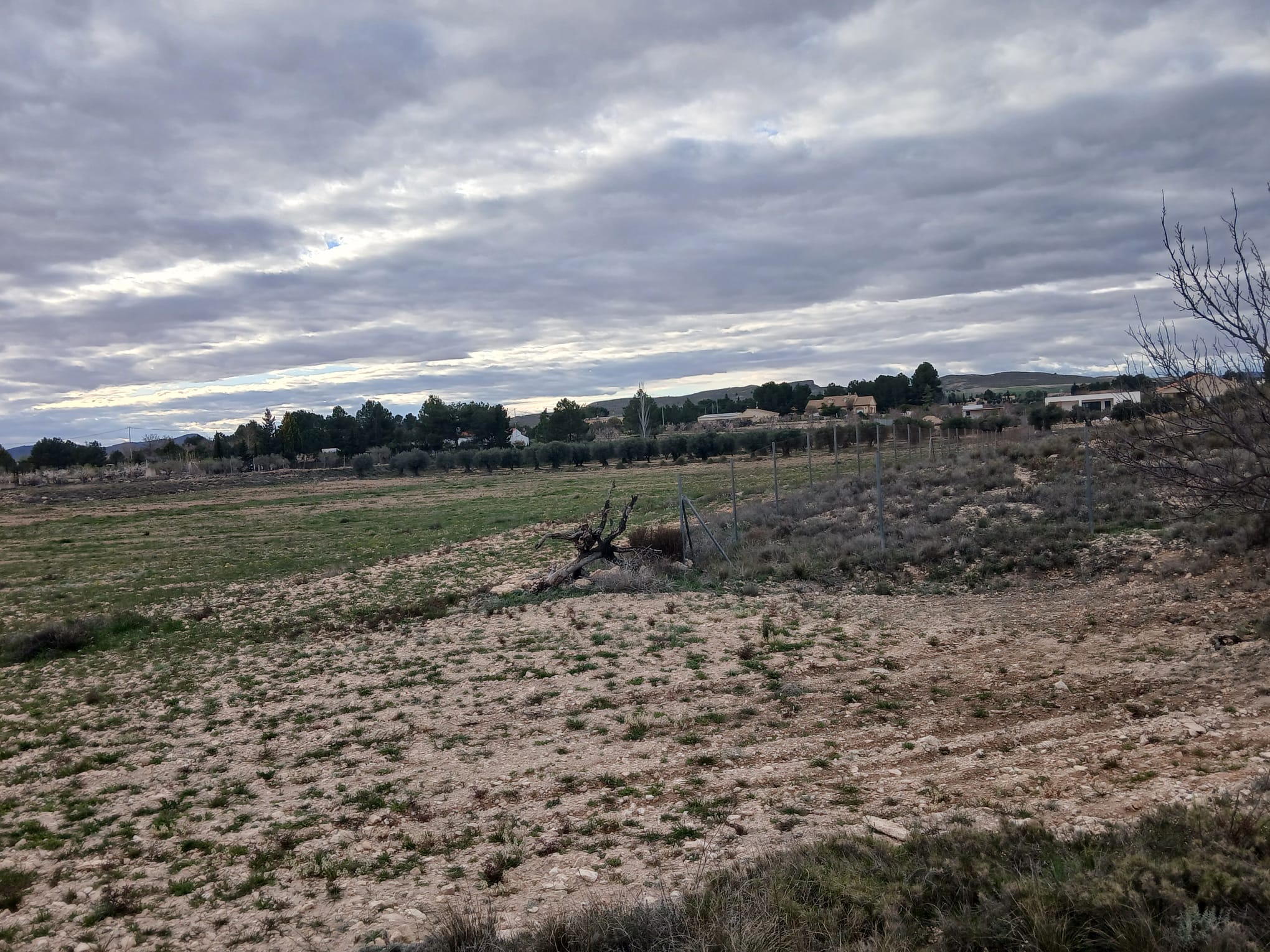 Prachtig Bouwperceel van 20.000 m² in Yecla – Rust, Ruimte en Panoramisch Uitzicht