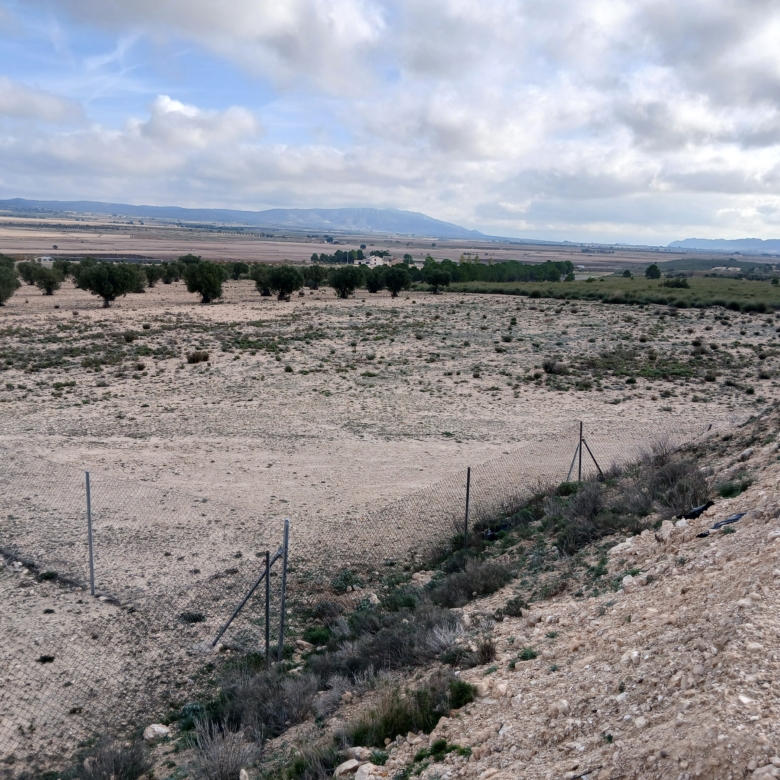 25.000m2 perceel in Yecla met irrigatiewater