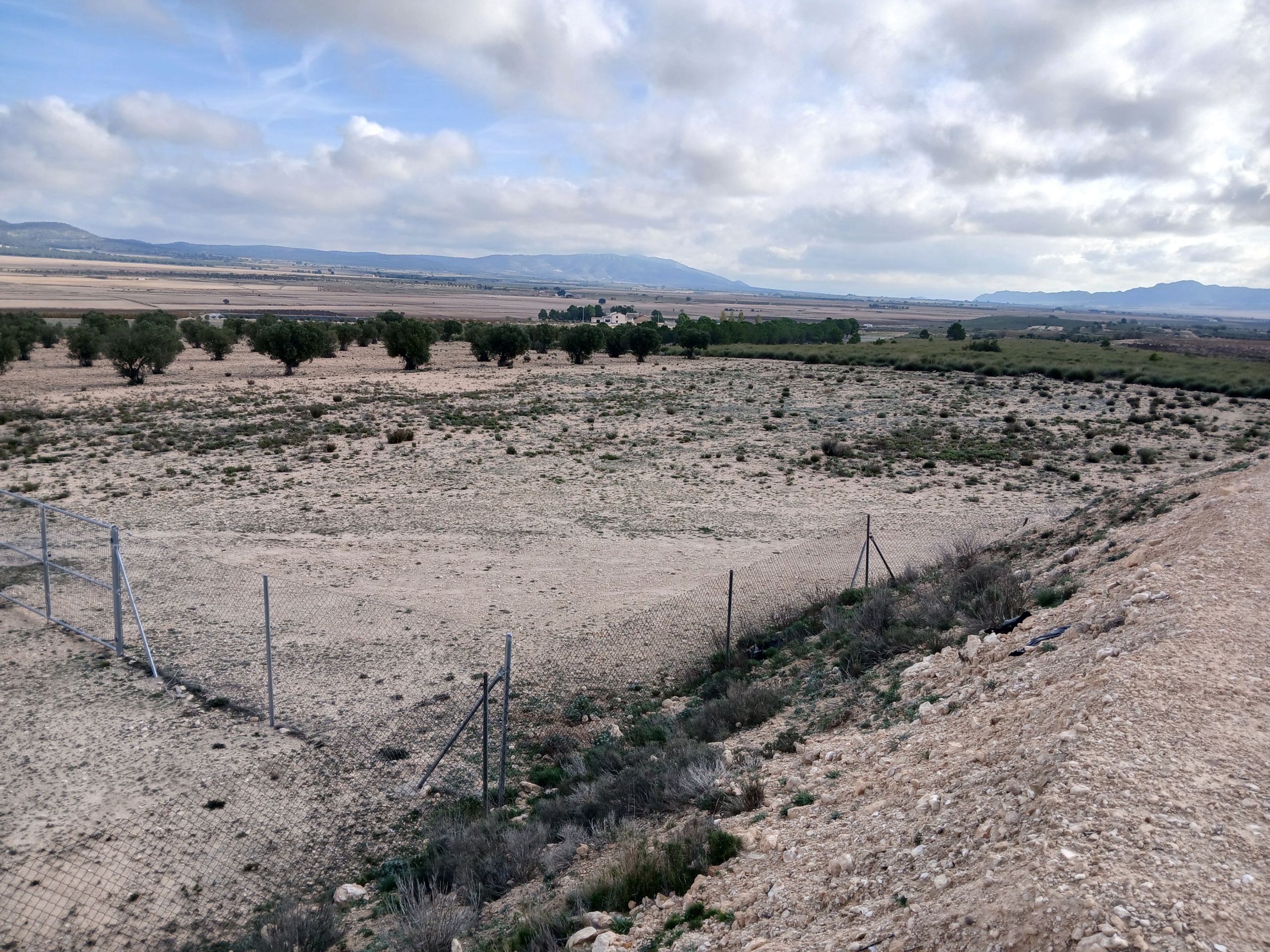 25.000m2 perceel in Yecla met irrigatiewater