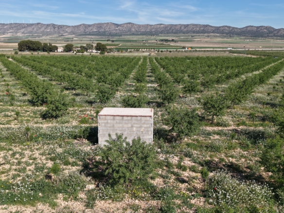 Land te koop in Spanje: Bouwperceel van 21.625 m² met amandelbomen in Yecla (Murcia)