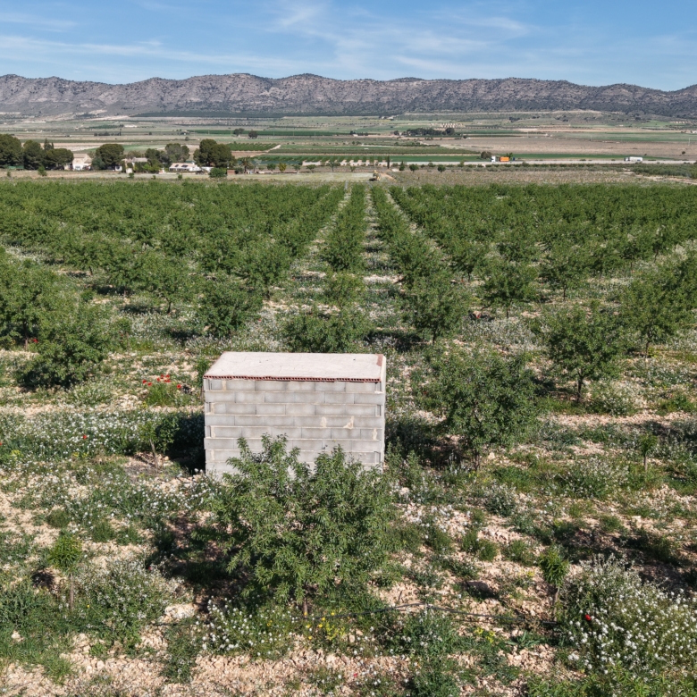Land te koop in Spanje: Bouwperceel van 21.625 m² met amandelbomen in Yecla (Murcia)