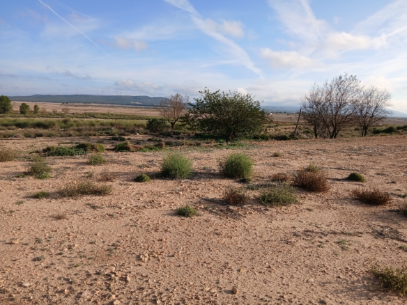 25.000m2 perceel in Yecla met irrigatiewater