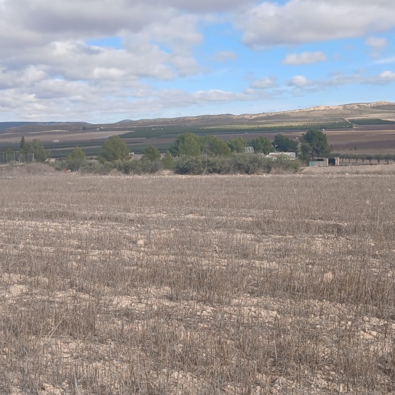 Unieke Investeringskans: Gigantisch Bouwperceel te Koop in Yecla (Murcia)