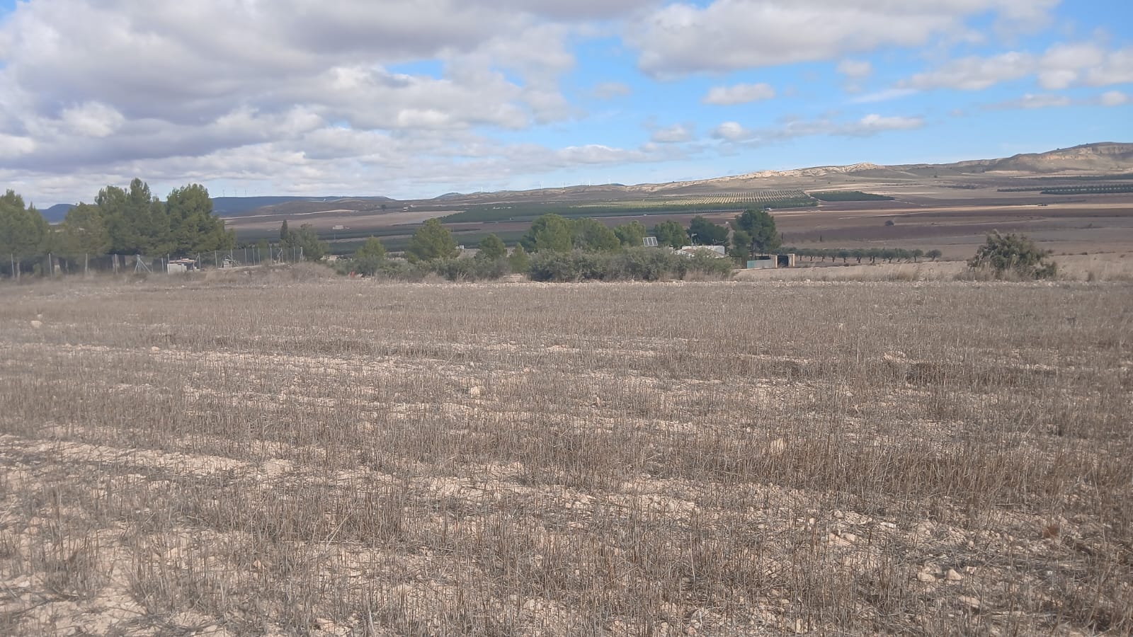 Unieke Investeringskans: Gigantisch Bouwperceel te Koop in Yecla (Murcia)