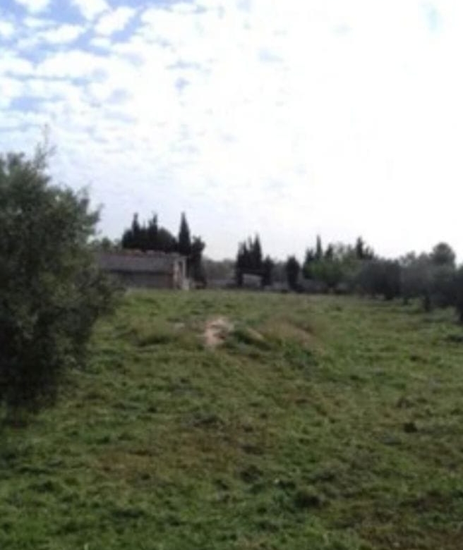 Casita met potentieel in Caudete: Uw eigen off-grid project op 2.100 m²