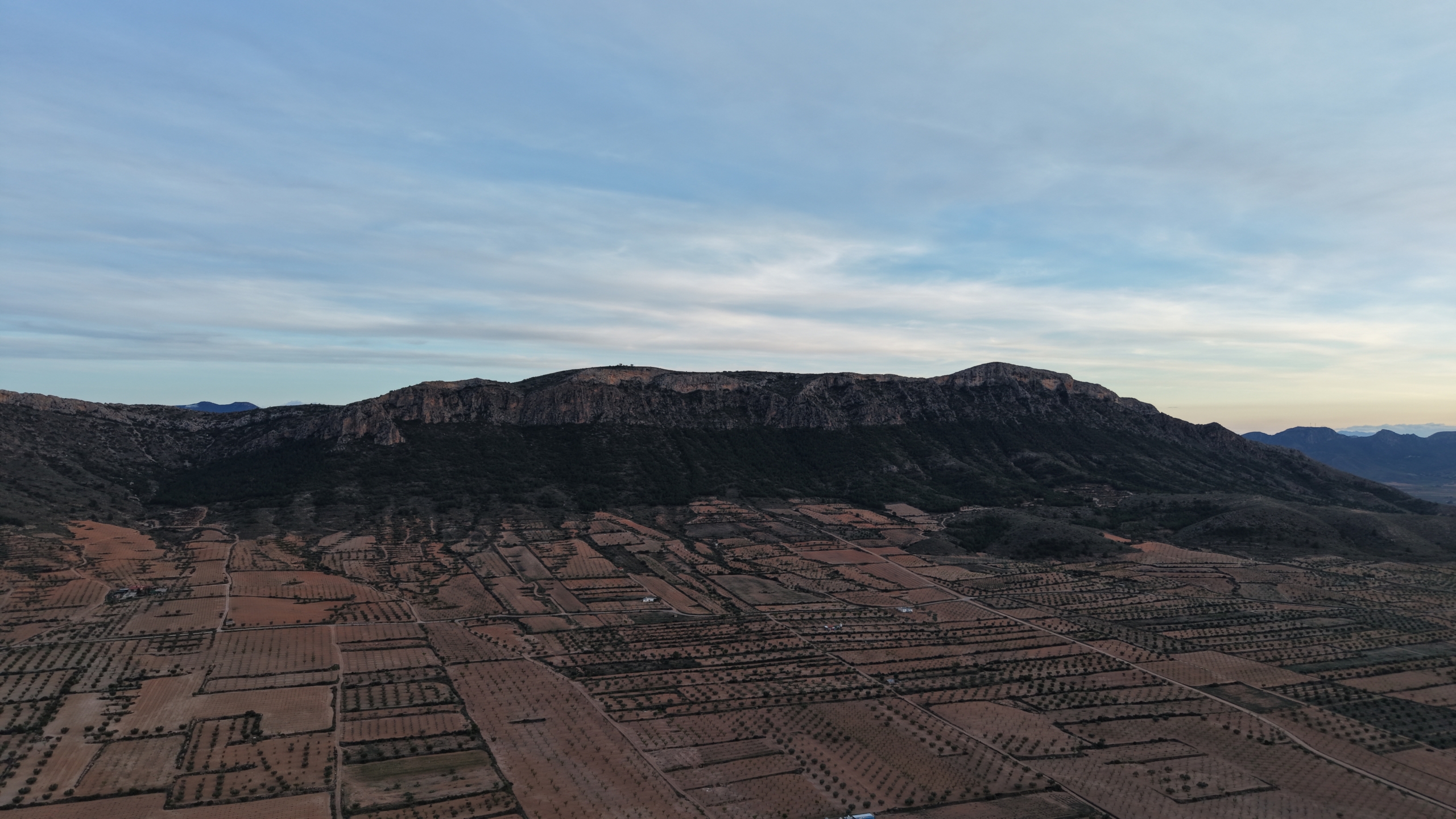 Prachtig vlak bouwperceel met volwassen olijfbomen te koop in Jumilla (Murcia)