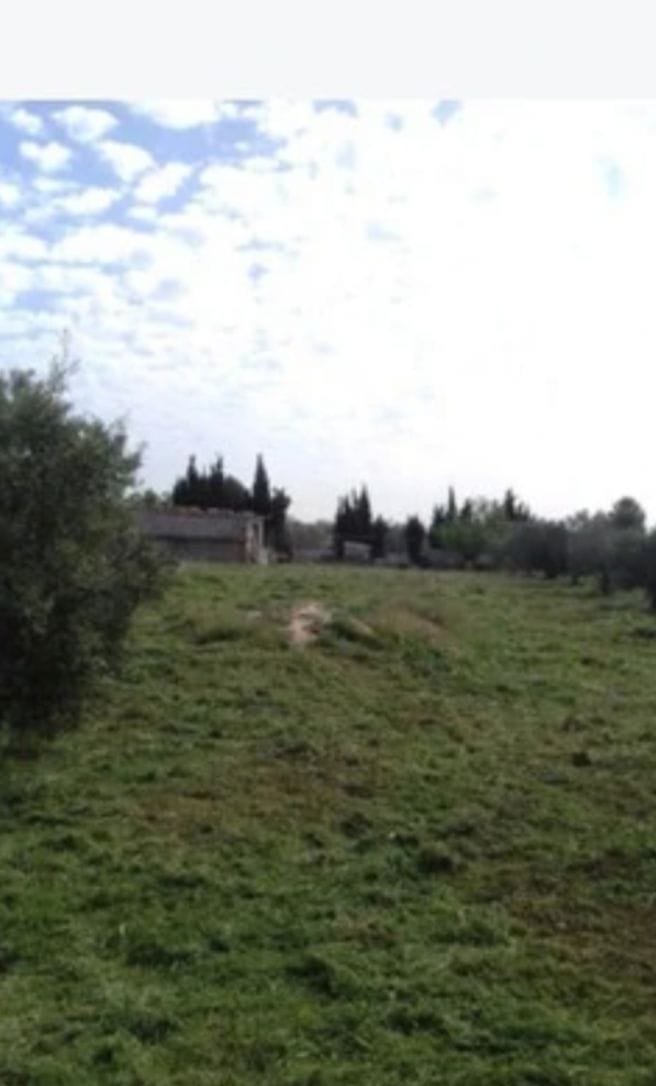 Casita met potentieel in Caudete: Uw eigen off-grid project op 2.100 m²