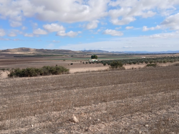 Unieke Investeringskans: Gigantisch Bouwperceel te Koop in Yecla (Murcia)