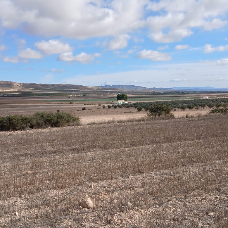 Unieke Investeringskans: Gigantisch Bouwperceel te Koop in Yecla (Murcia)