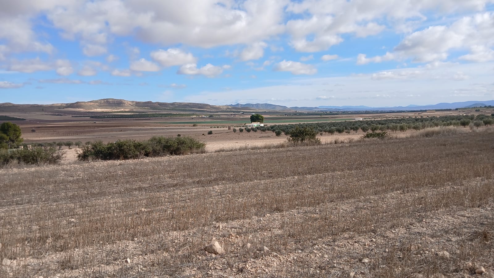 Unieke Investeringskans: Gigantisch Bouwperceel te Koop in Yecla (Murcia)