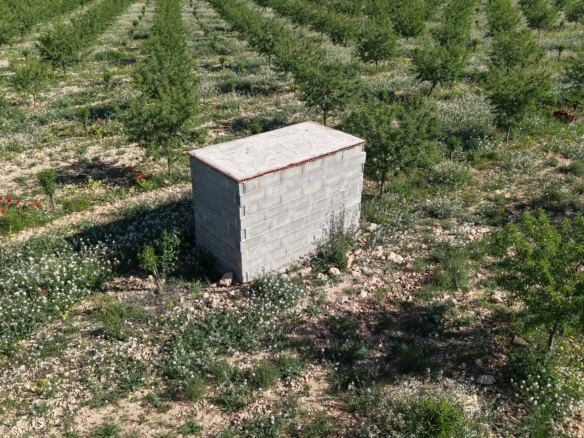 Land te koop in Spanje: Bouwperceel van 21.625 m² met amandelbomen in Yecla (Murcia)