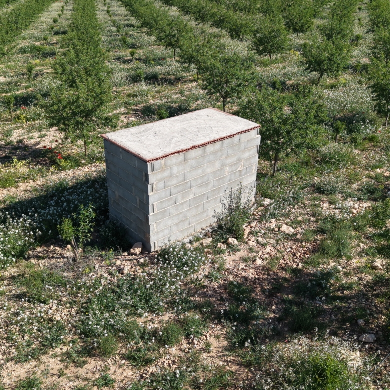 Land te koop in Spanje: Bouwperceel van 21.625 m² met amandelbomen in Yecla (Murcia)