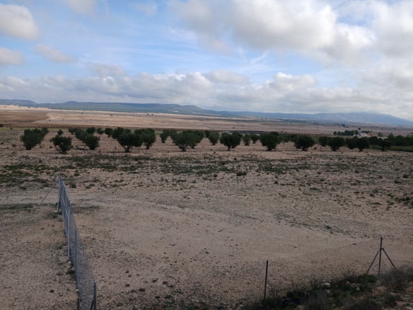 Exclusieve Investeringskans: 60 Hectare Geïrrigeerd Landgoed in Yecla (Murcia)