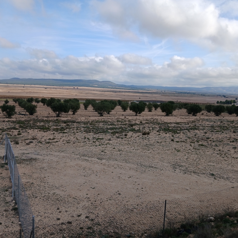 Exclusieve Investeringskans: 60 Hectare Geïrrigeerd Landgoed in Yecla (Murcia)