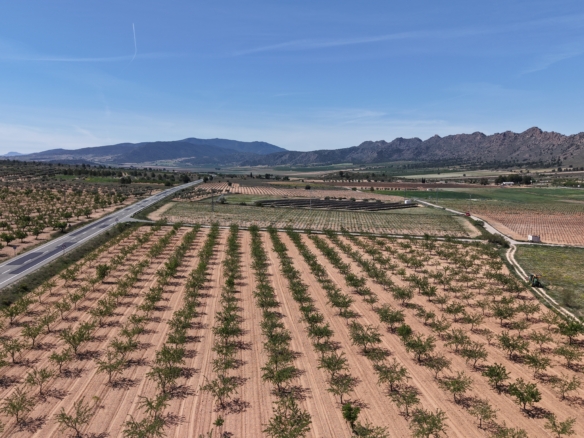 Bouwperceel te koop tussen Yecla & Pinoso: 38.802 m² met amandelbomen
