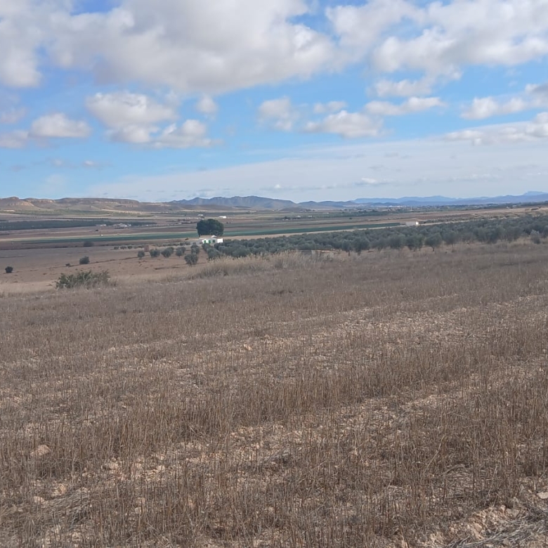 Unieke Investeringskans: Gigantisch Bouwperceel te Koop in Yecla (Murcia)