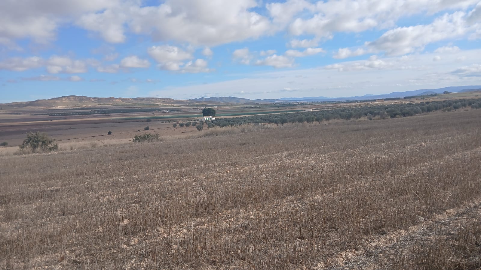 Unieke Investeringskans: Gigantisch Bouwperceel te Koop in Yecla (Murcia)